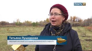 В курганском Ботаническом саду появятся новые сорта пионов