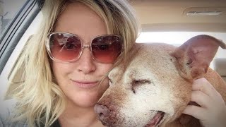 Senior dog finds forever home after family abandons her