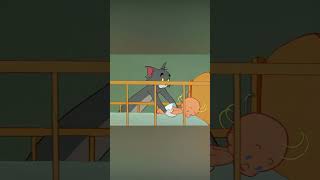 Tom y Jerry en Latino | ¡Dúo de niñeros! | #shorts | @WBKidsLatino​