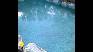 бассейн на даче, чистая вода с белизной