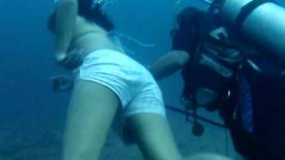 octopus dive @ barracuda lake, coron palawan