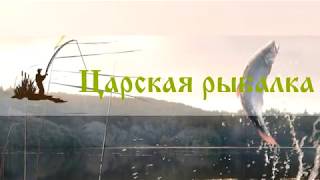 Турнир по карповой ловли в Ленинградской области, деревня Кипень, Царская рыбалка. 23-24.09.2017