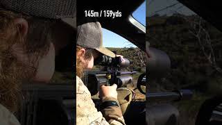 Solving a Monkey Problem with Airguns The perfect tool!