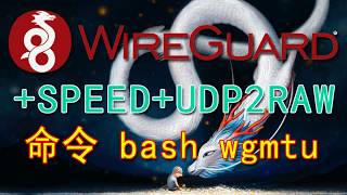 一键 Wireguard+udpspeeder+udp2raw 设置命令
