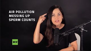 Air pollution decimating sperm counts