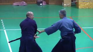 Shinto Muso Ryu