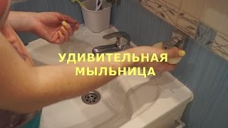 УДИВИТЕЛЬНАЯ МЫЛЬНИЦА на магните ЭХ ЁЖики