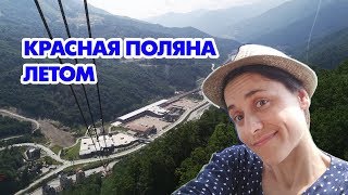 Красная Поляна летом - курорт "Газпром" - Хаски Парк - Оленья Ферма - Совариум - Роботека - VO Time