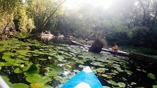 ПОХОД НА БАЙДАРКАХ VLOG протока Домаха, красотище, гребем, едим водный орех, active rest, kayaking