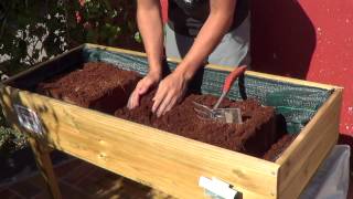 Como Preparar La Mesa De Cultivo || Huerto Urbano || La Huertina De Toni