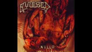 Avulsed - Penectomia