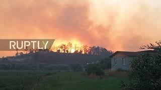 Turkey: Firefighting efforts continue against massive wildfires in Manavgat