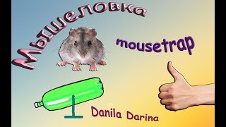 Детям.Мышеловка за 5 минут. Поймал мышь. The trap for 5 minutes. Caught the mouse.