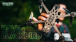 Пятёрка под фристайл. Лухарский вжуххх! [Haven Blackbird]