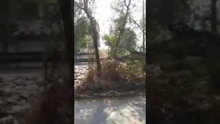 Dalit  attack on maratha bhimakoregao