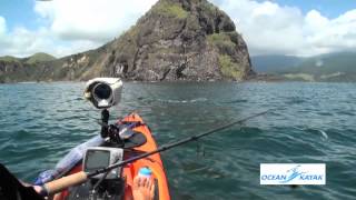 NZ fishing  kawai