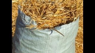 Измельчение соломы для вешенок (chopping straw for mushroom substrate)