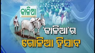 What's The Actual Number Of KALIA Scheme Beneficiaries
