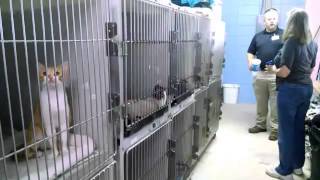 Wakulla County Animal Control