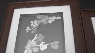 DIY Pinterest Home Decor Ideas: Wall Decal Frame | Under $5 Dollar Tree DIY | deepikamakeup