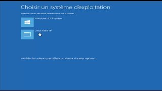 dualboot Windows 8 1 Linux mint 16 petra