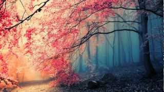 Best Of Chillstep 2012 ~ Over 3 Hours Mix!