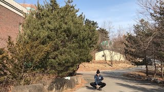 299번째 콩을심어라   한중대학교