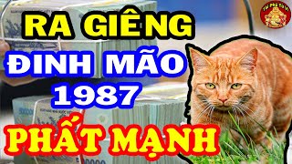 Tuổi Đinh Mão 1987 Gặp Thời Giàu Nhanh Như Vũ Bão Đầu Năm 2023 ĐỔI ĐỜI Nếu Biết Điều Này