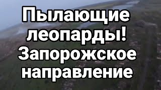 Г0РЯЩИЕ ЛЕ0ПАРДЫ!? Запорожское направление
