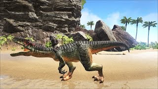 ARK: Survival Evolved Chillout Stream - Surveying the Island