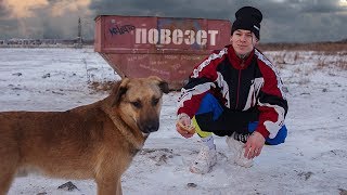 NILETTO - Повезёт (mood video)
