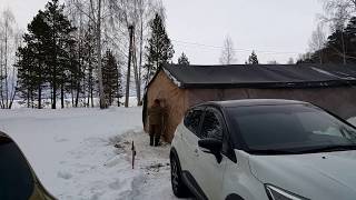 Фестиваль Увильдинская ночка 2020