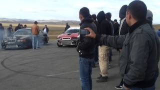 Mongolian Drag(OBO vs 8444 Baaskaa)