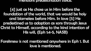 God "foreknew" the elect? What does that mean??