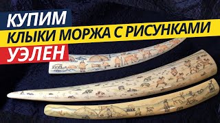 Клыки моржа с рисунками Уэлен | Обзор | Особенности | История (2019)