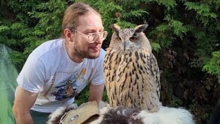 Сова филин Ёль делится славой с другими блогерами ютуберами на выставке Рептилиум