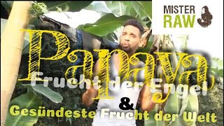 Papaya - Frucht der Engel und gesündeste Frucht der Welt - Rohkost in Afrika