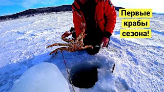 Первые крабы сезона! ???? // (Eng Subs)