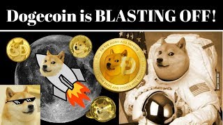 Dogecoin is Going Straight to The MOON!