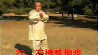 魏樹人楊式太極拳老六路第二段 (Yeung)Yang Style secret tai chi old six routine (LaoLiuLu) part 2