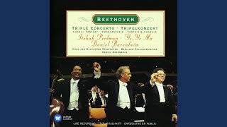 Triple Concerto in C Major, Op. 56: II. Largo