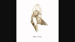 Patrick Watson - Big Bird in a Small Cage