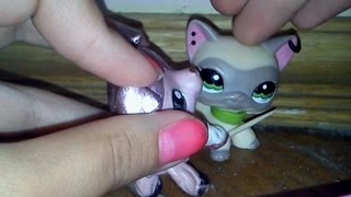 Littlest Pet Shop(LPS)"Любовь пацанки"1 сезон 19 серия"Что?Джастин убица!"