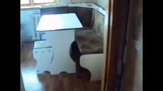 Аренда 2-к квартиры в Краматорске