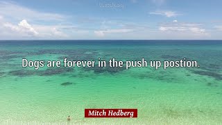 Mitch Hedberg Quotes: 59 quotes about KNOWLEDGE and more
