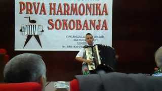 Aleksandar Markovic Vlasotince
