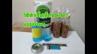 เห็ดขอนขาว ทำเชื้อเห็ดขอนขาวแบบบ้านๆ ตอนที่1