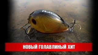 Новый голавлиный хит.