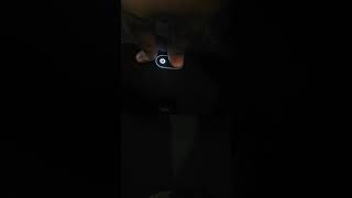Как включить, выключить уличный режим на колонке JBL Charge 4?