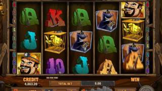 Обзор игрового автомата Gold Rush (Playson)